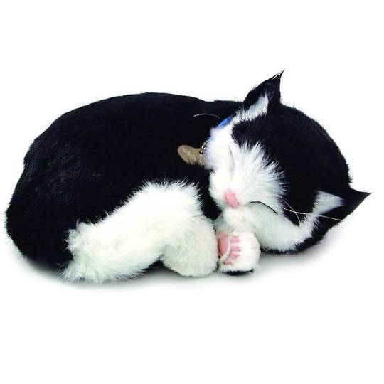 Perfect Petzzz – Black & White Cat